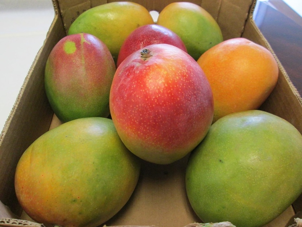 Mango (5 lb / 2.3 kg)