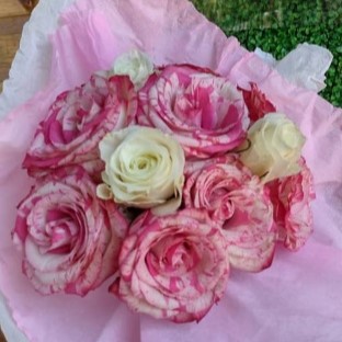 Ramo de 17 rosas