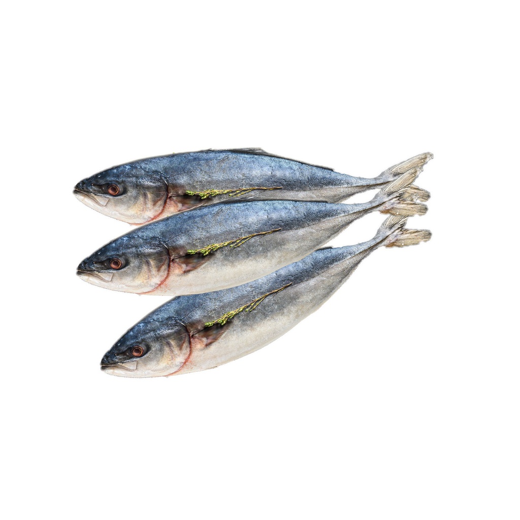 Pescado de Mar (4 lb)