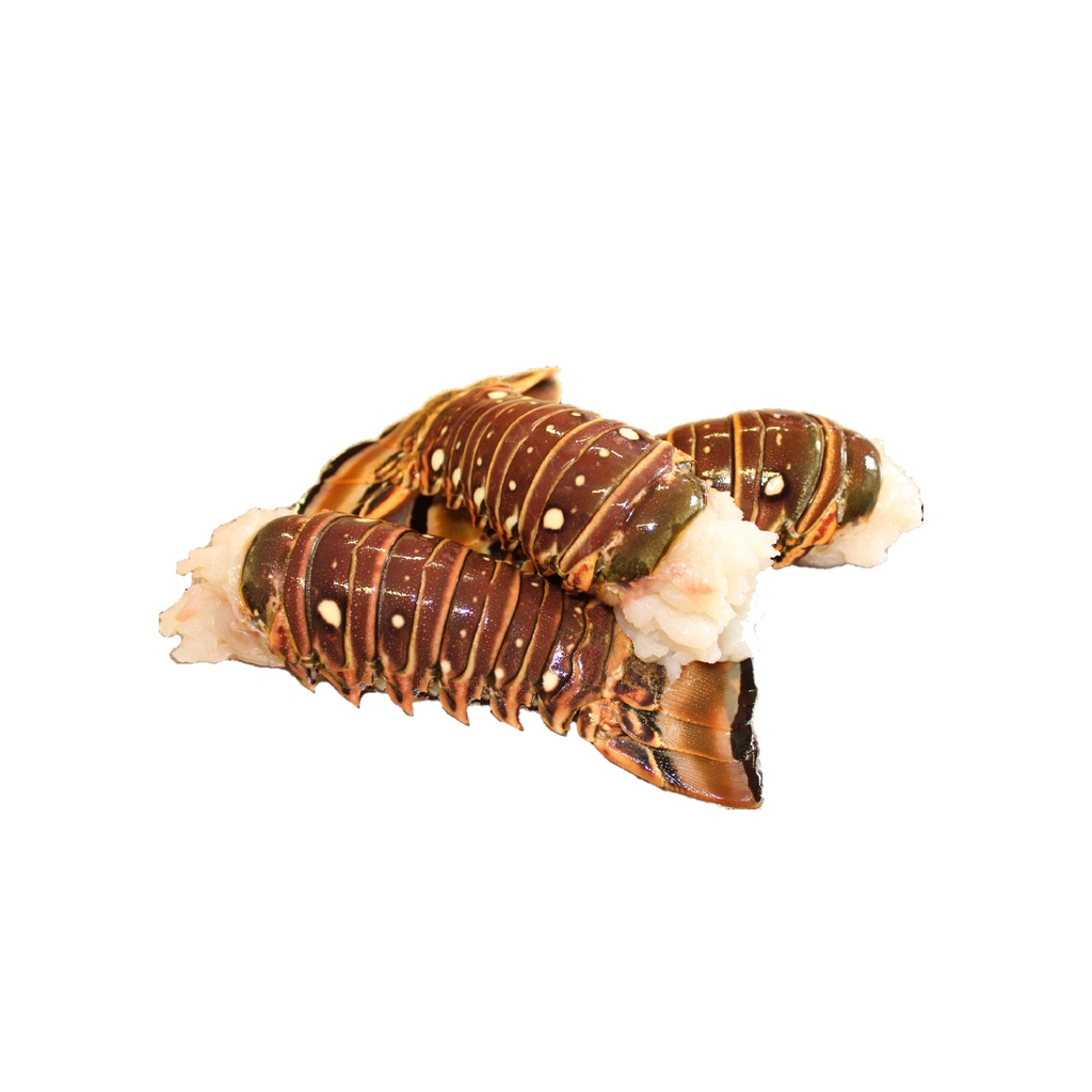 Langosta (5 lb)
