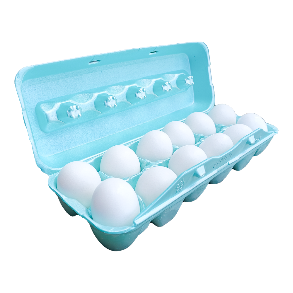 Docena de Huevos (12 ud)(Importados)