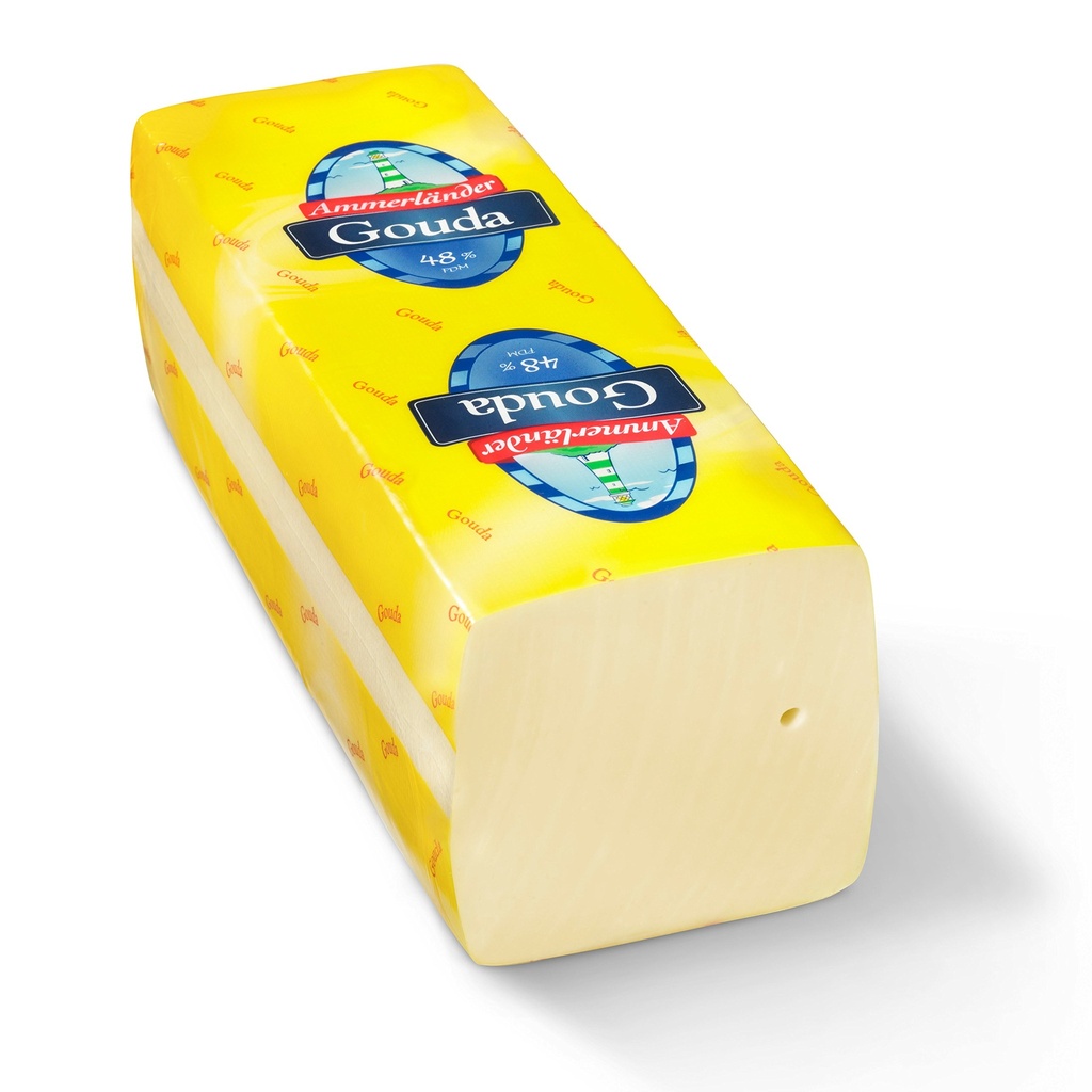 Queso Gouda 1 KG