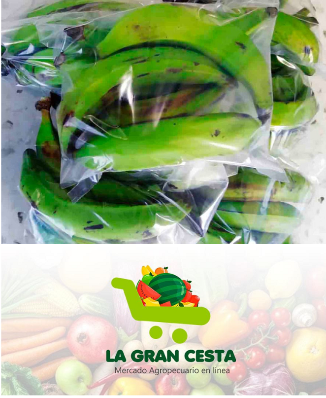 Plátano vianda macho verde (10 lb / 4.6 kg)