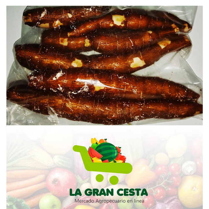 Yuca (10 lb / 4.6 kg)