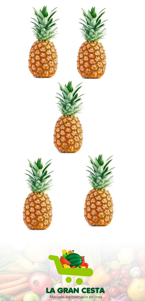 Piña 5 unidades (10-12 lb / 4.6-5.5 kg)