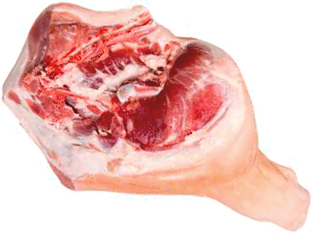 Pierna de cerdo con hueso y piel (17 lb)