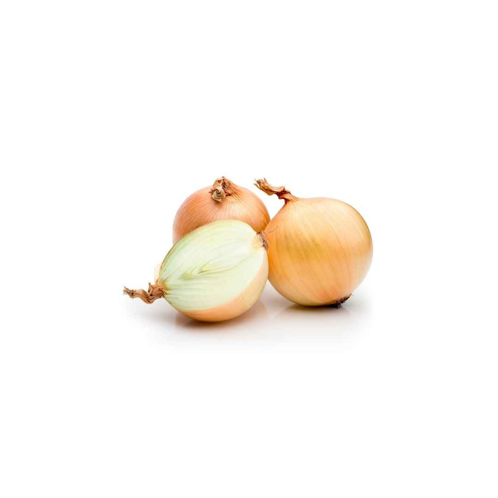 Cebolla 10ud