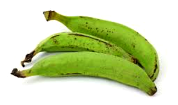 Plátano macho (u)