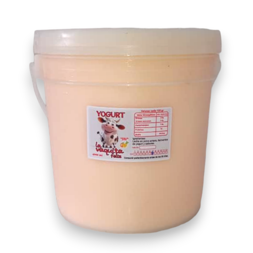 Yogurt de Naranja-Piña (4L)