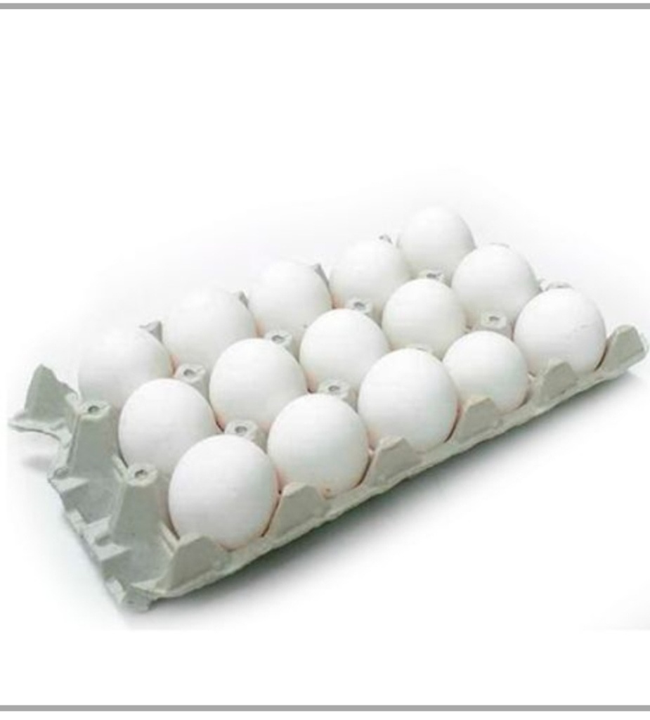 Huevos (15u)