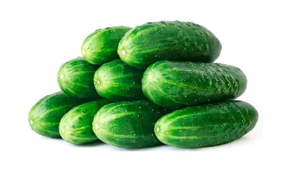 Pepino (Lb)