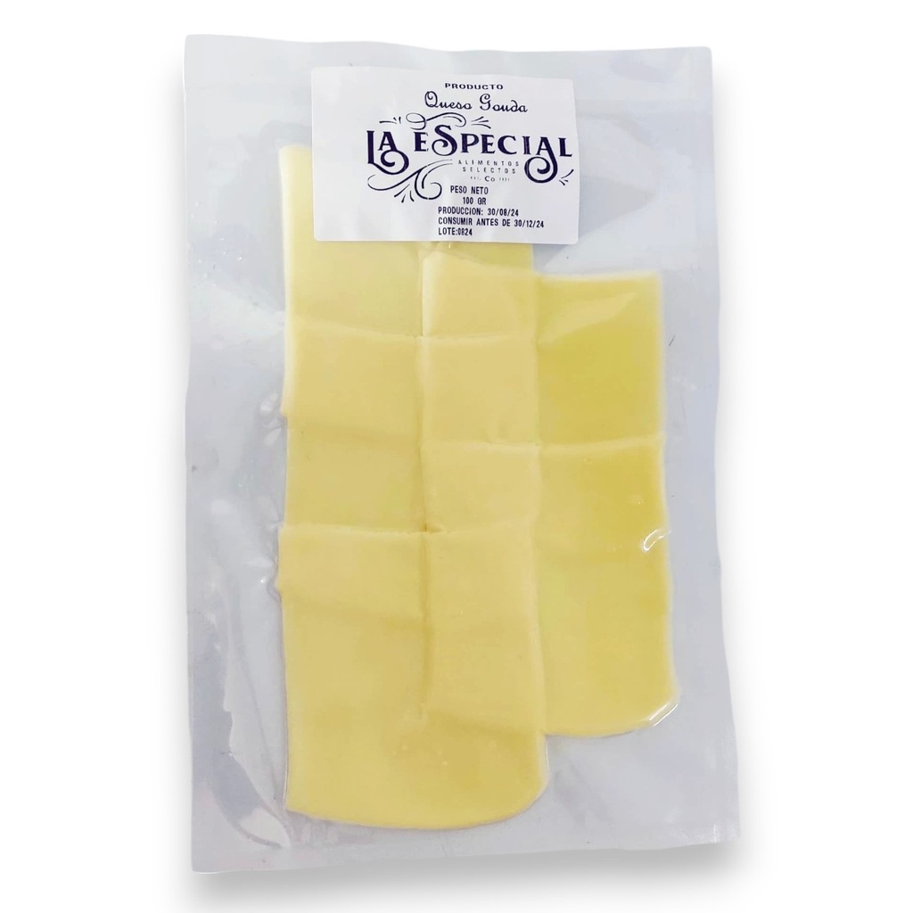 Queso Gouda Holandés Premium lasqueado 100g