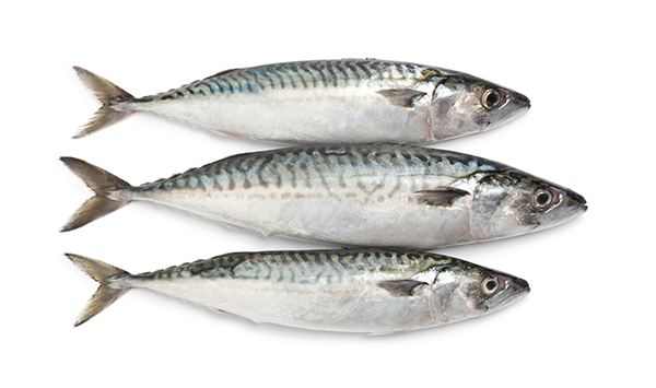 Pescado entero (pqt. 5 lb)