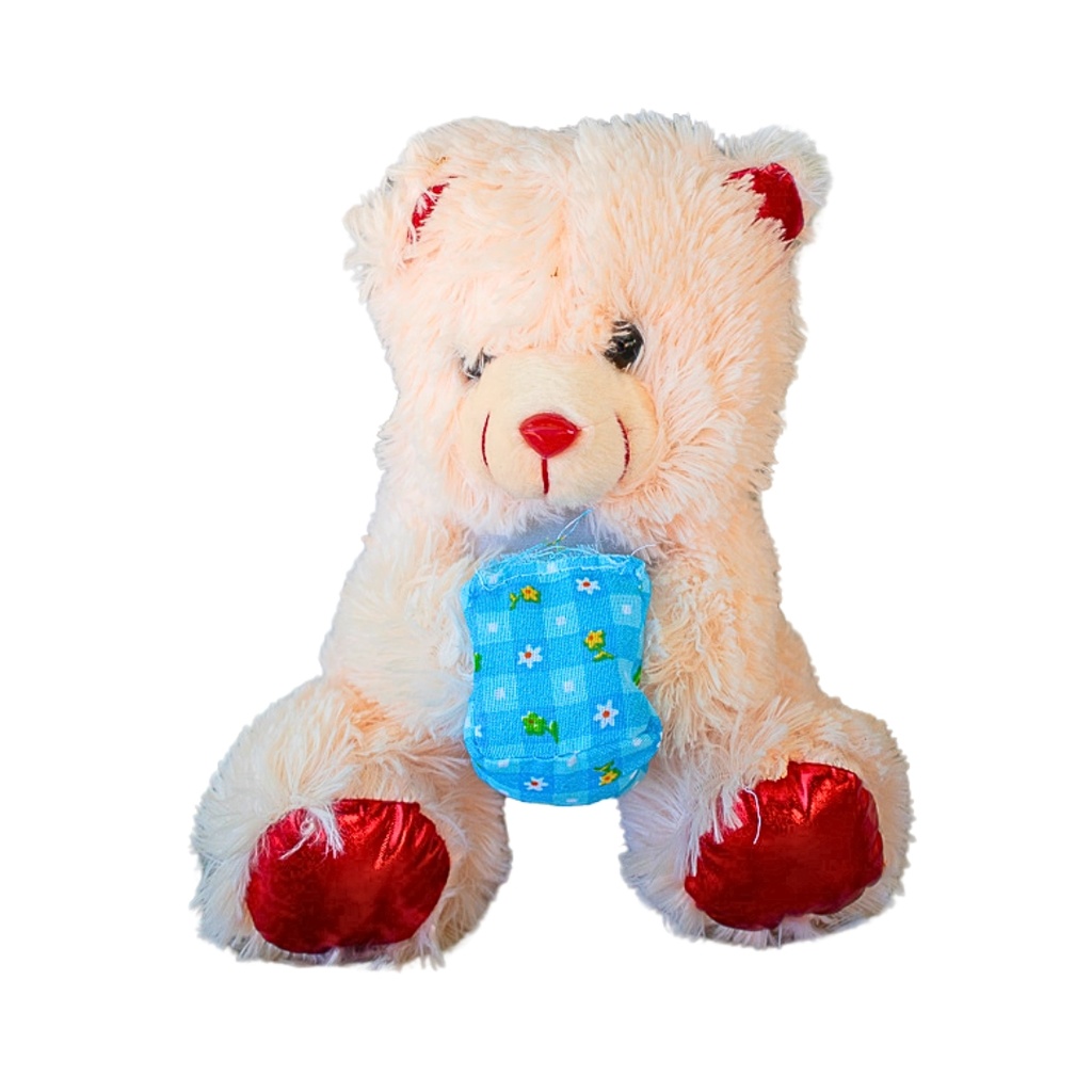 Peluche Oso con Caja de Regalo (30 cm aprox)