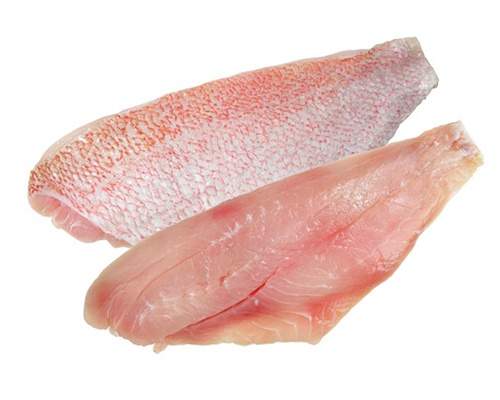 Filetes de pescado Pargo (2lb) HH