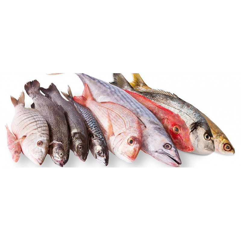 Pescado de Mar 8-10lb
