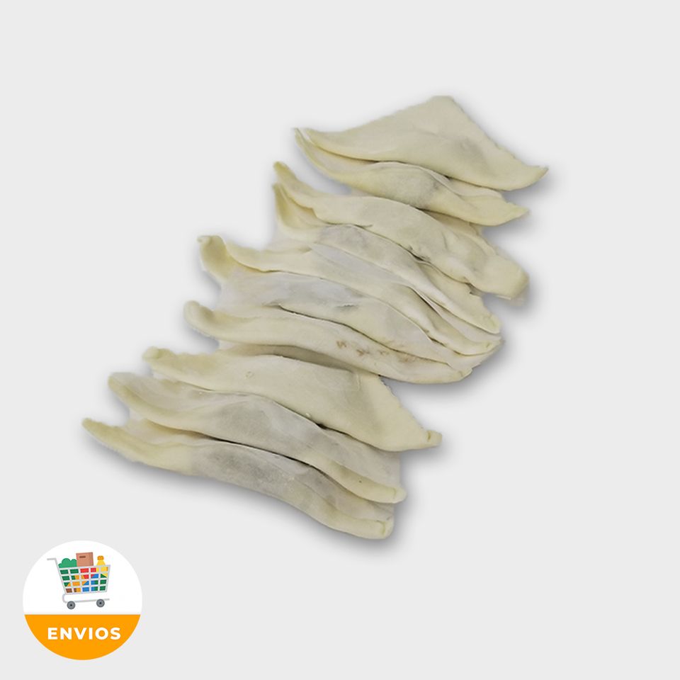 Empanadas de Jamón y Queso (20 unidades)