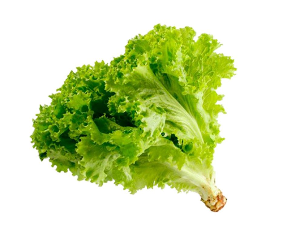 Lechuga (mazo)