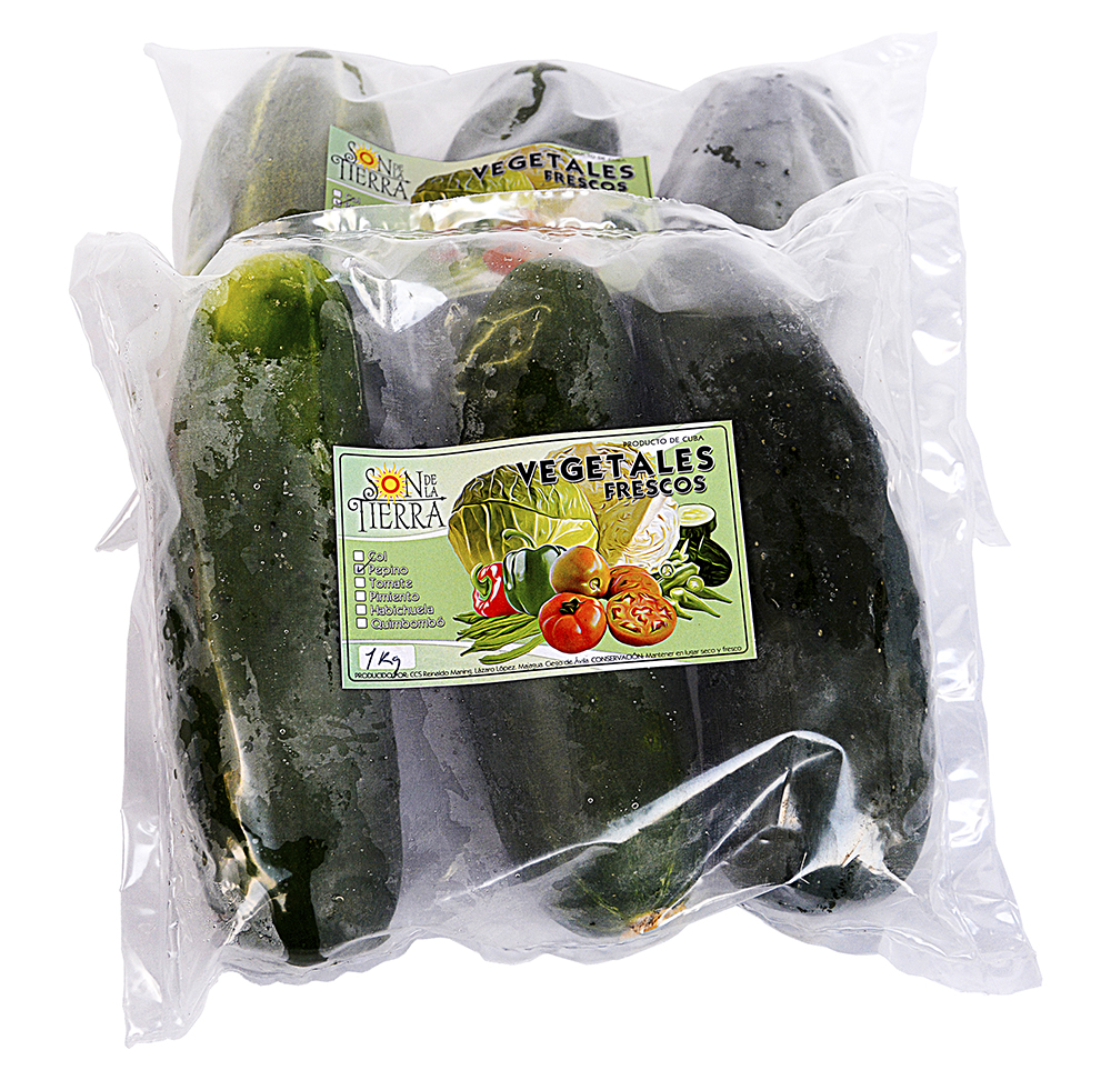 Pepino fresco 1kg (2.2Lb)