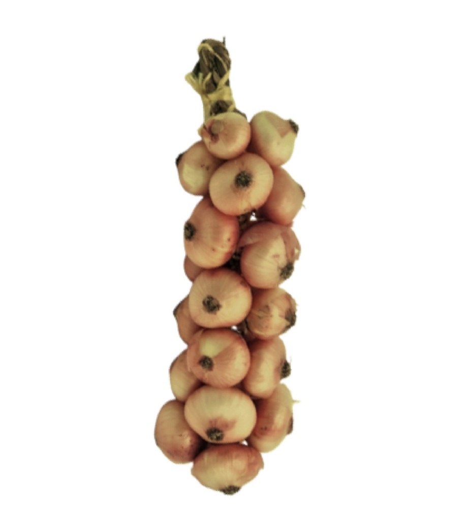 Pata de Cebollas 20u