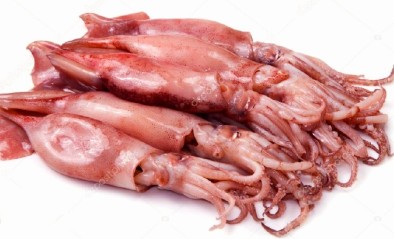 Calamar (2lb)