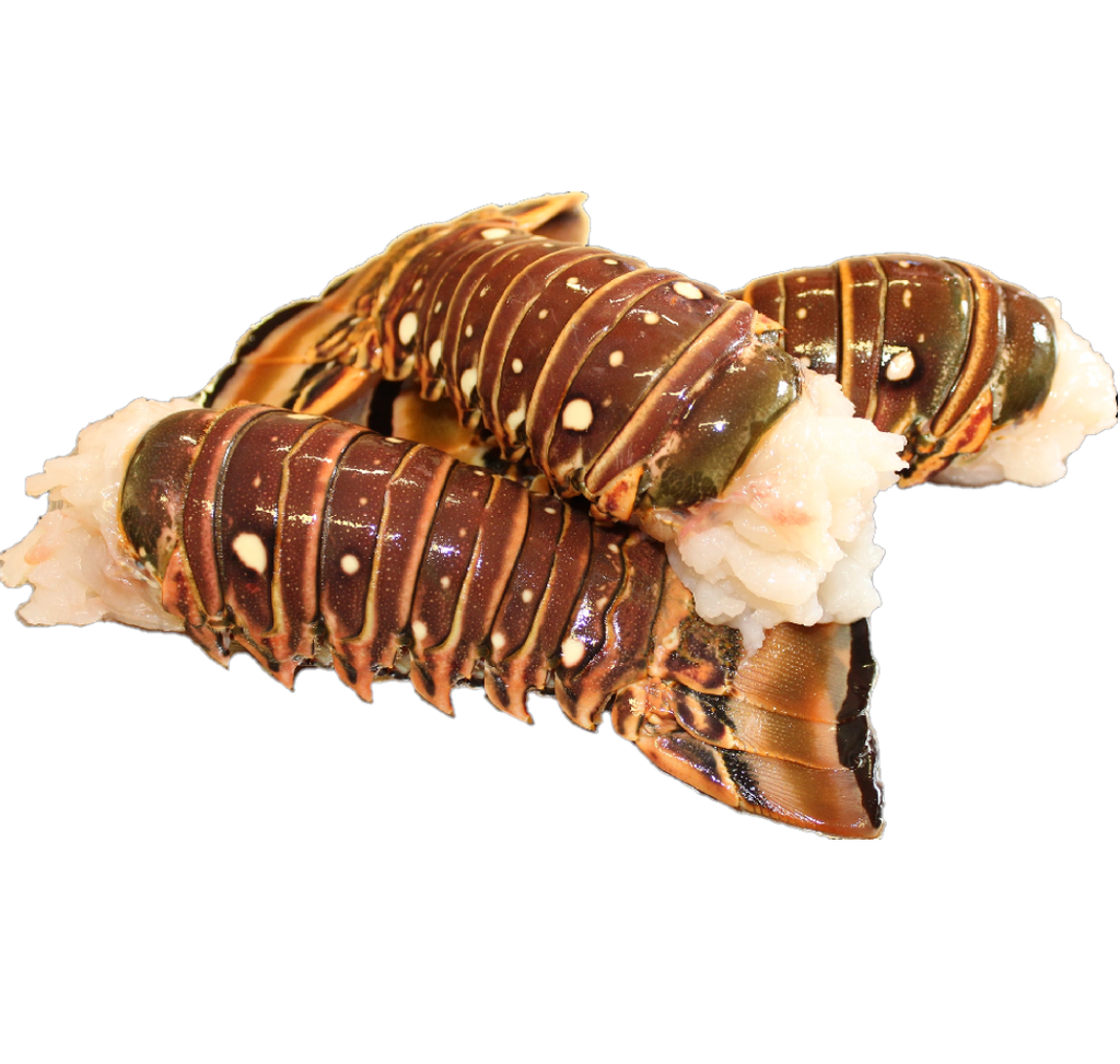 Colas de langosta (2lb)