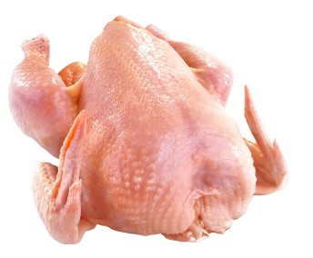 Pollo Criollo Orgánico (2-3lb)