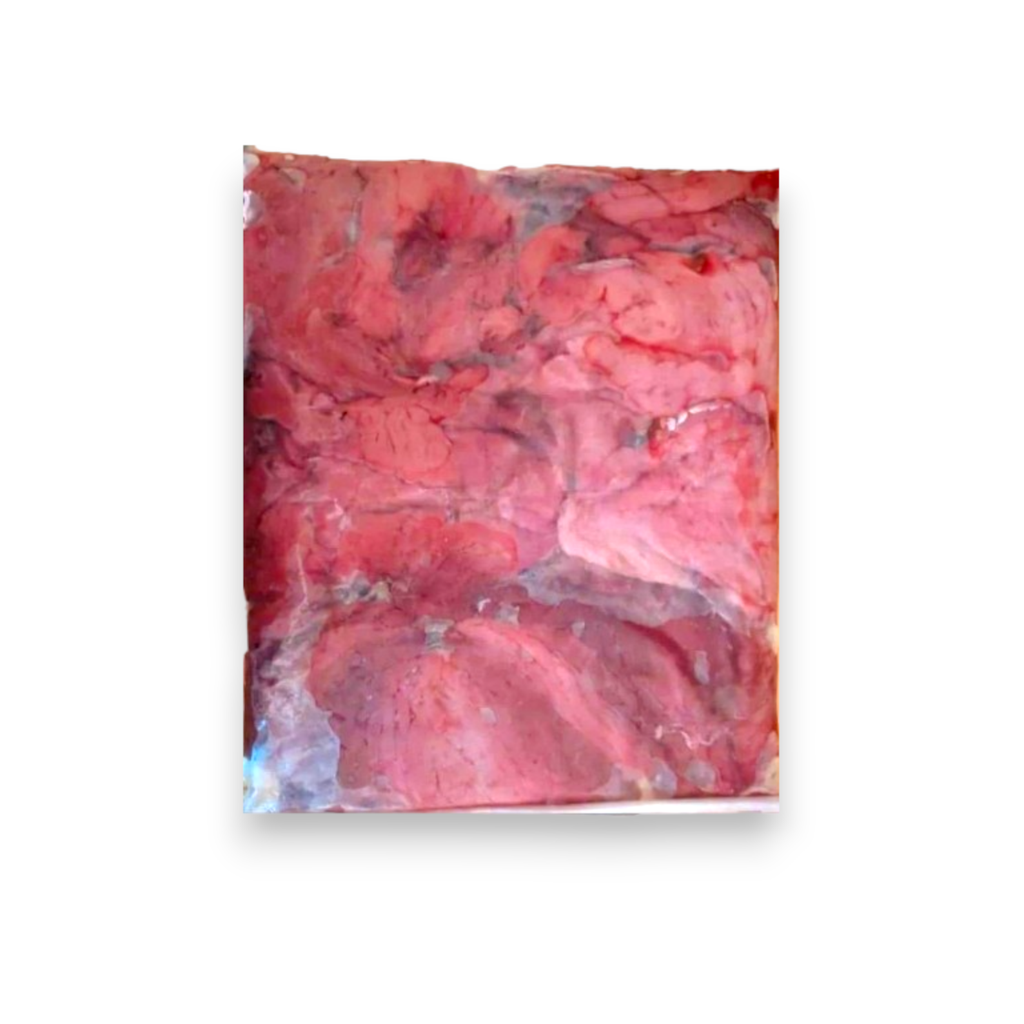 Filetes de Caguama (2lb)